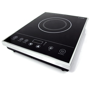 portable electric induction range